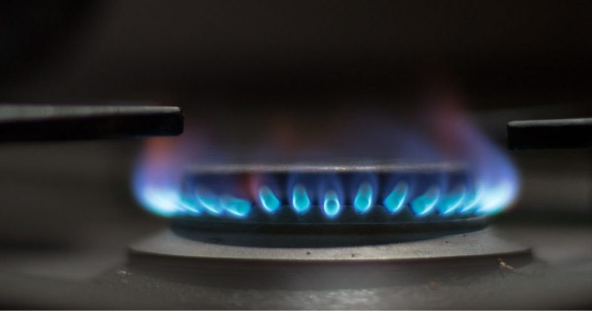 Energy Savers Workshops