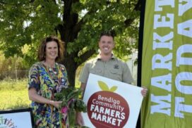 Budget Summer activities Bendigo