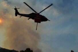 bushfire recovery support