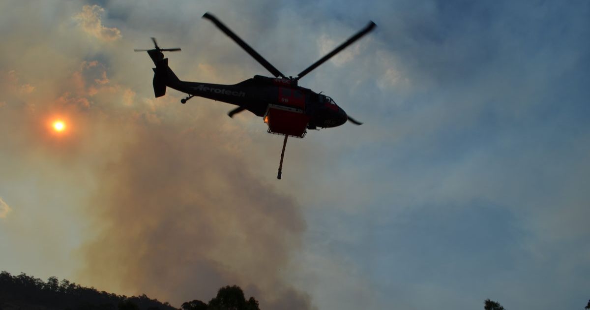 bushfire recovery support