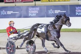 Keayang Zahara trotting