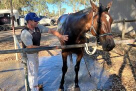 Marong Harness Racing Club