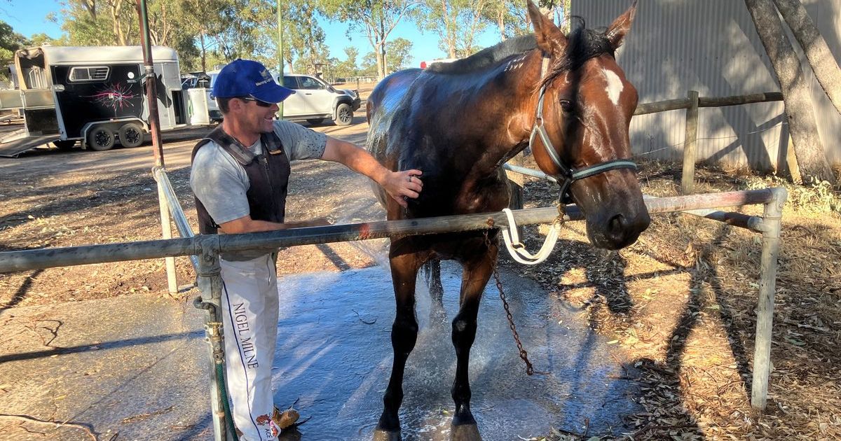 Marong Harness Racing Club