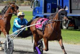 Team Teal Bendigo