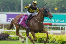 Golden Monkey retired
