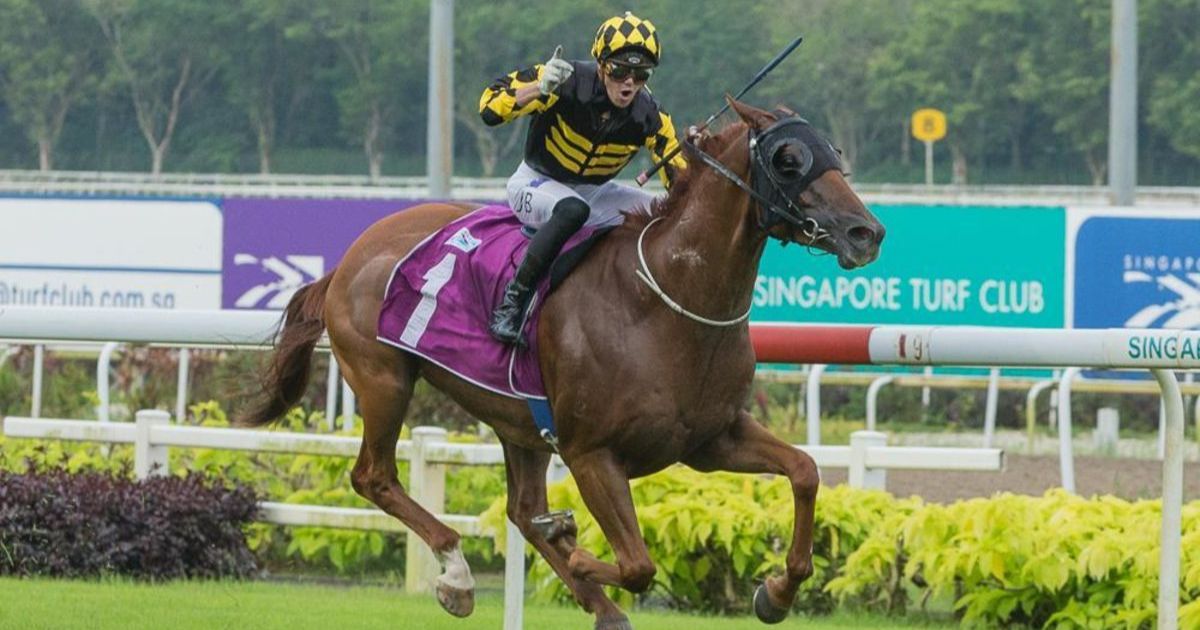 Golden Monkey retired