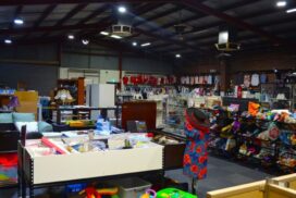 Bendigo op shop