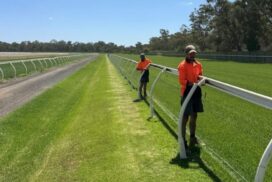 Bendigo track renovation