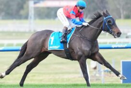 Tim Fitzsimmons Albury win