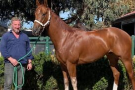 VOBIS Gold Rush Bendigo