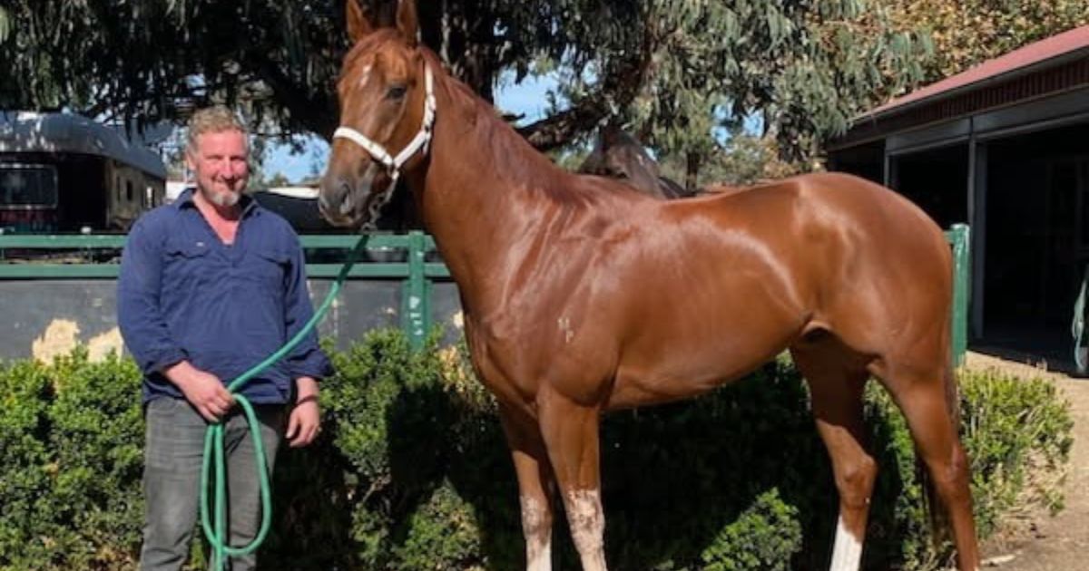 VOBIS Gold Rush Bendigo