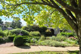 Aussie garden design with low-maintenance native plants
