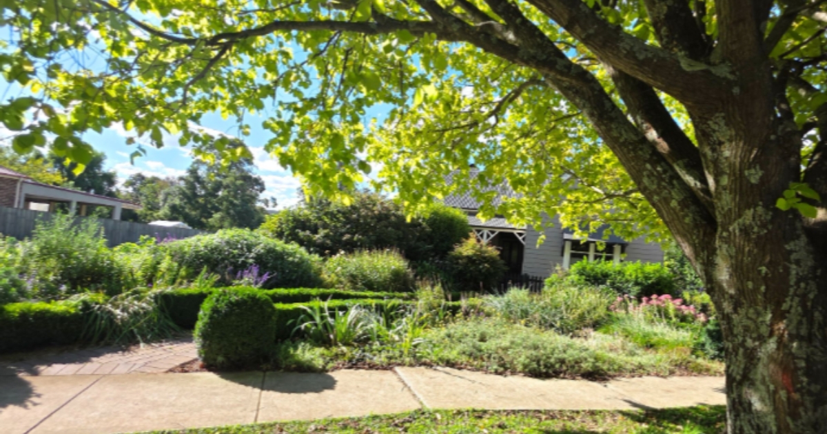 Aussie garden design with low-maintenance native plants