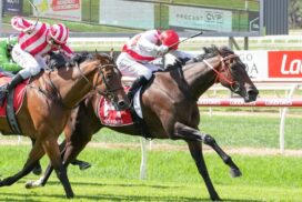 Bendigo racing returns