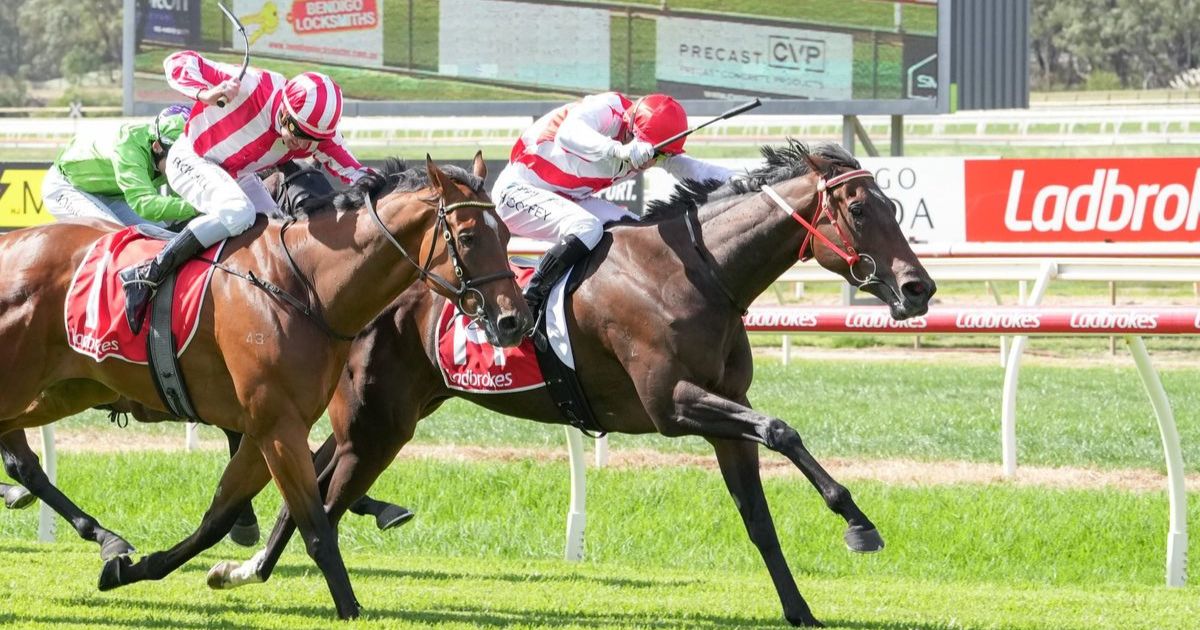 Bendigo racing returns