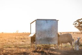 Drought Hardship Loans