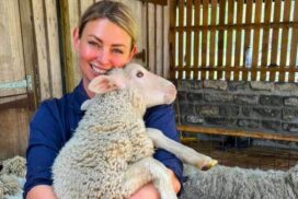 Sheep welfare seminars
