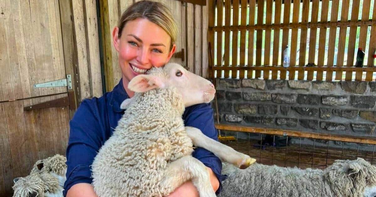 Sheep welfare seminars