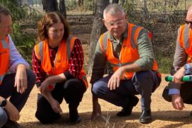 Coliban Water Efficiency Project