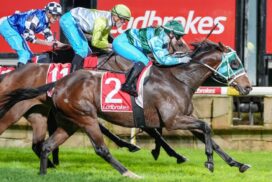 Kazungula stayer win