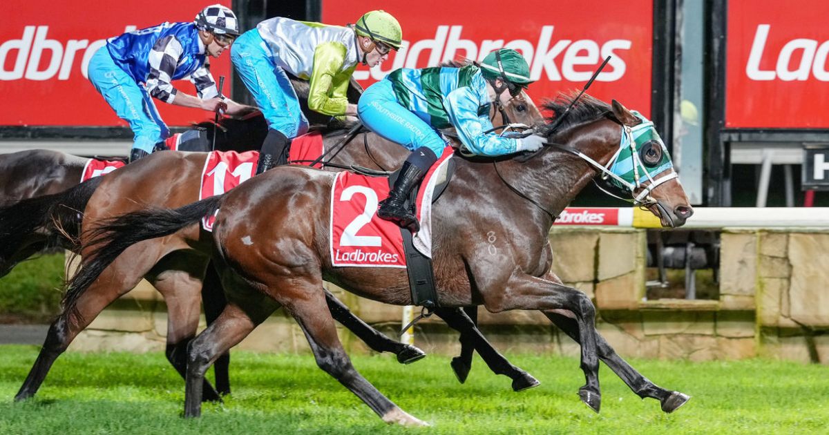 Kazungula stayer win