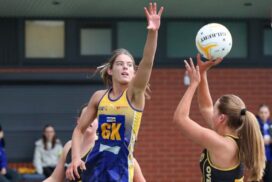 BFNL 15-and-under netball