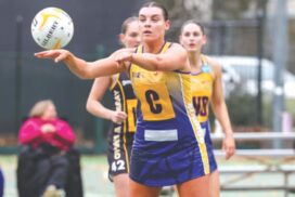 BFNL interleague netball