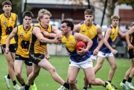 BFNL under-18