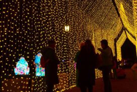 Electric Wonderland Bendigo
