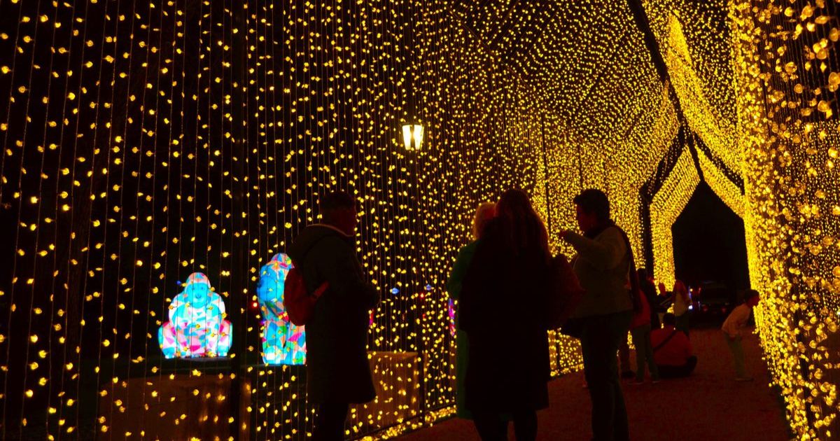 Electric Wonderland Bendigo