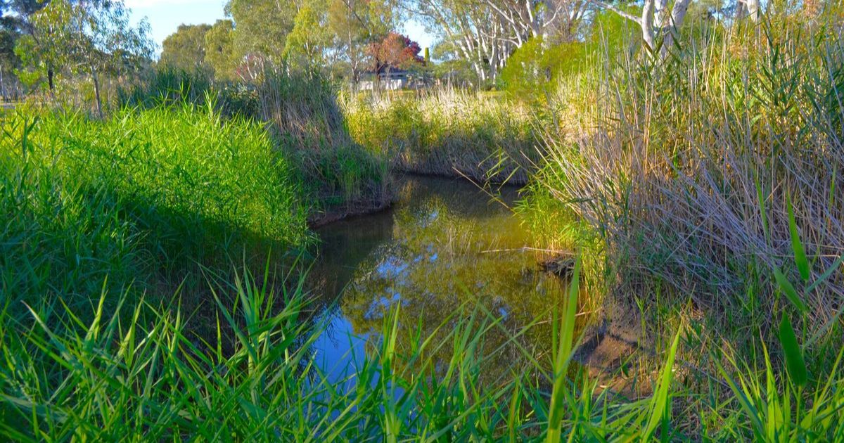 Bendigo Creek Revitalisation