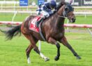 Jawsome Rob Bendigo win