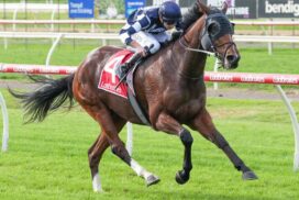 Jawsome Rob Bendigo win