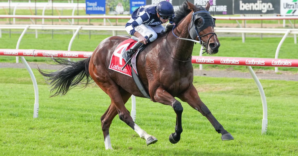 Jawsome Rob Bendigo win