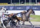 Bendigo Raceway redevelopment