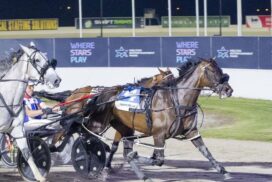 Bendigo Raceway redevelopment