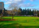 Bendigo Health green space