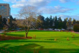 Bendigo Health green space