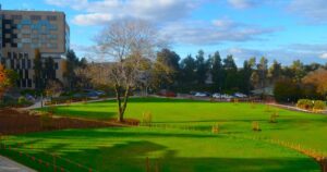 Bendigo Health green space