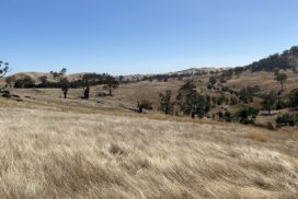 Nature on Farms