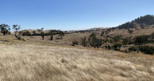 Nature on Farms