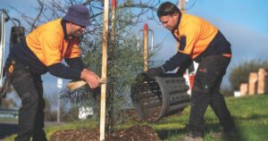 Bendigo tree planting