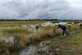 Farm resilience Central Victoria