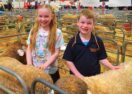Australian Sheep Wool Show