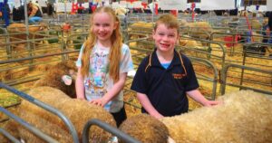 Australian Sheep Wool Show
