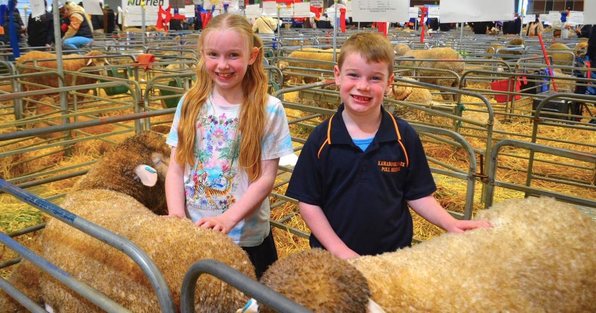 Australian Sheep Wool Show