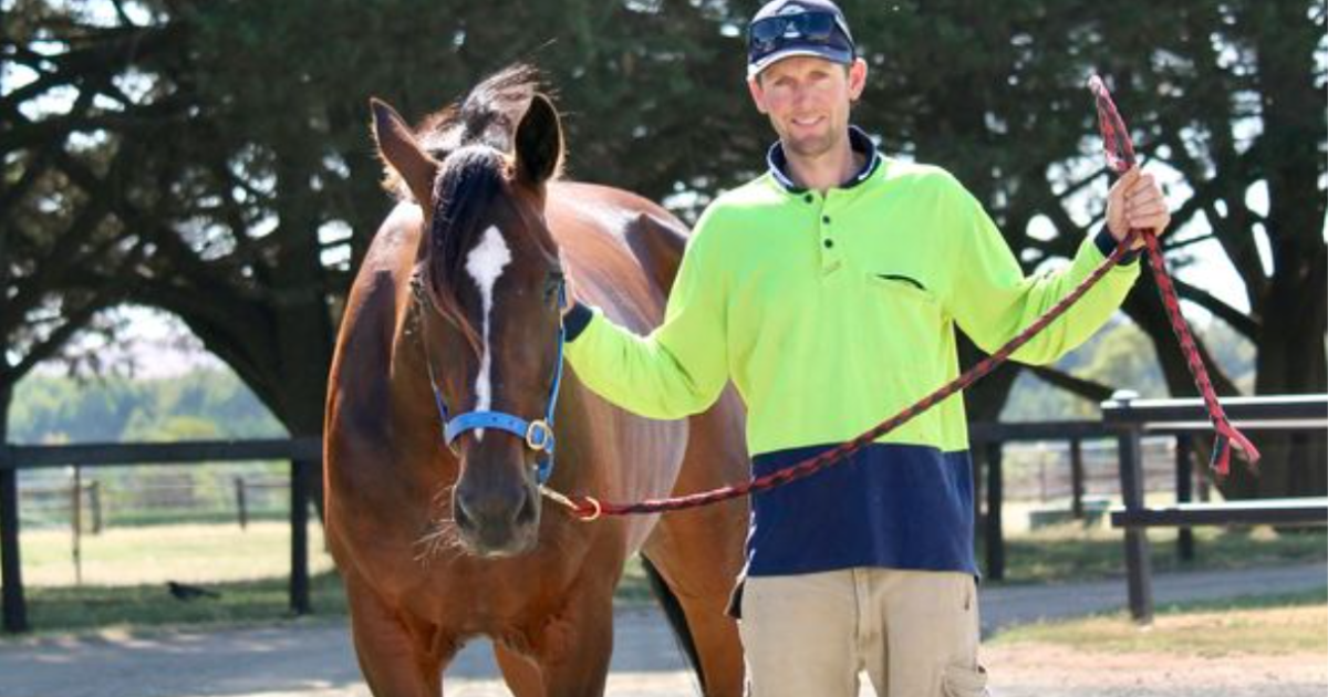 Svanosio's three-pronged Inter Dominion attack set to launch