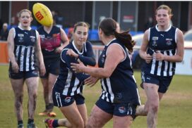 CVFL interleague loss