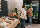 Social supermarkets success