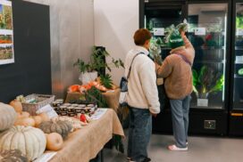 Social supermarkets success